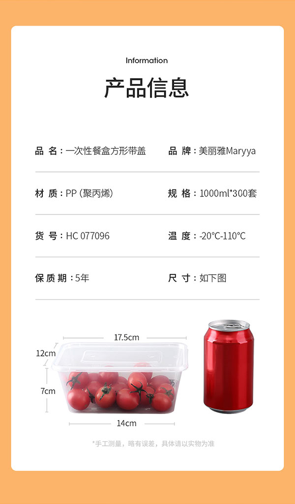 一次性打包盒